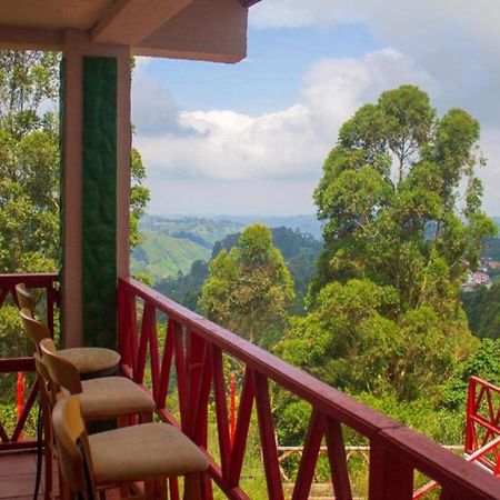 Hotel Natura Cocora Salento Exterior foto